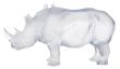 Rhinocéros blanc - Daum